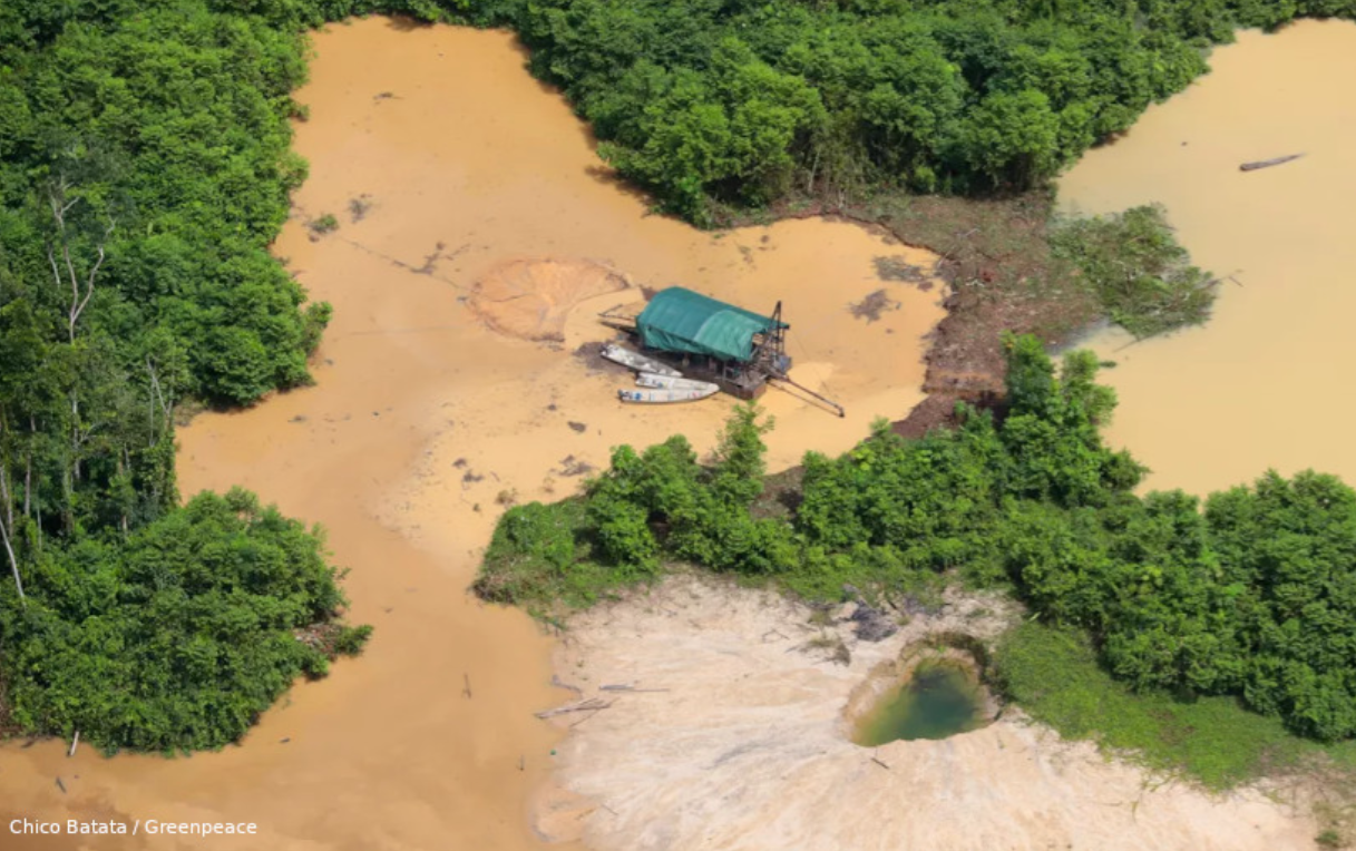 Você está visualizando atualmente Átila Lins pede para Lula suspender operação contra garimpeiros no Amazonas